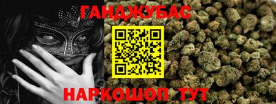 сатива Гай