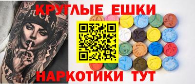 сатива Гай