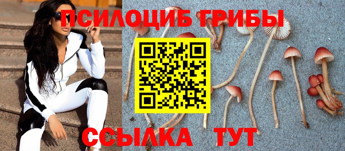 Псилоцибиновые грибы ЛСД Горячий Ключ